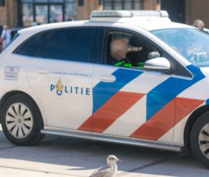 A Herring Gull Beside a Police Car